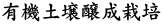L@y͔|